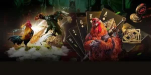 Áp Dụng Cách Chơi Đá Gà GA28 Tại Xoso333 Hốt Bạc Tỷ Dễ Dàng