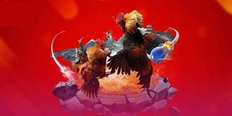 Trải Nghiệm Đá Gà Xoso333 Đỉnh Cao Nhận Ngay Cơ Hội Thắng Lớn Mỗi Ngày